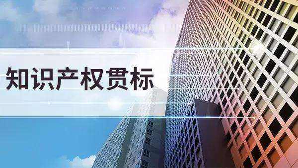 知識產(chǎn)權(quán)貫標(biāo)是什么意思?